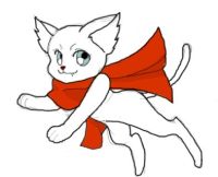 cat.jpg