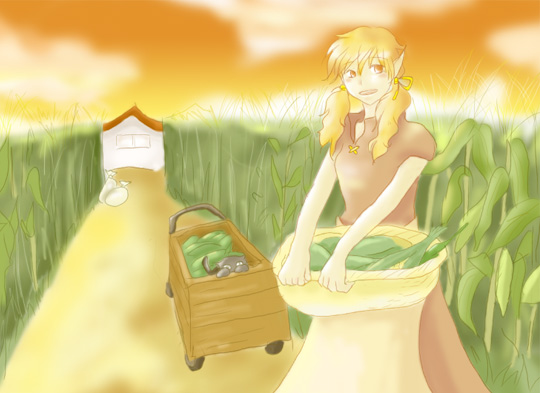 corn.jpg