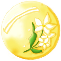 medal20080606.jpg